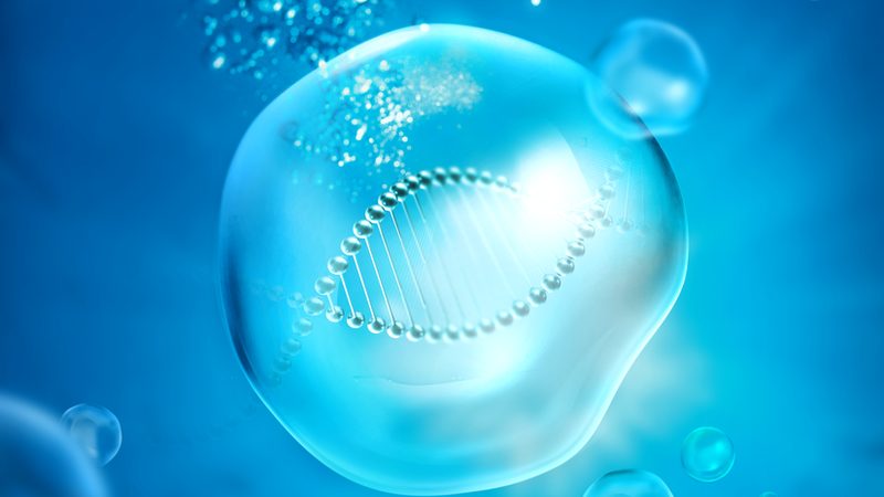 微量离心管规格型号全解析：如何根据实验需求精准选型