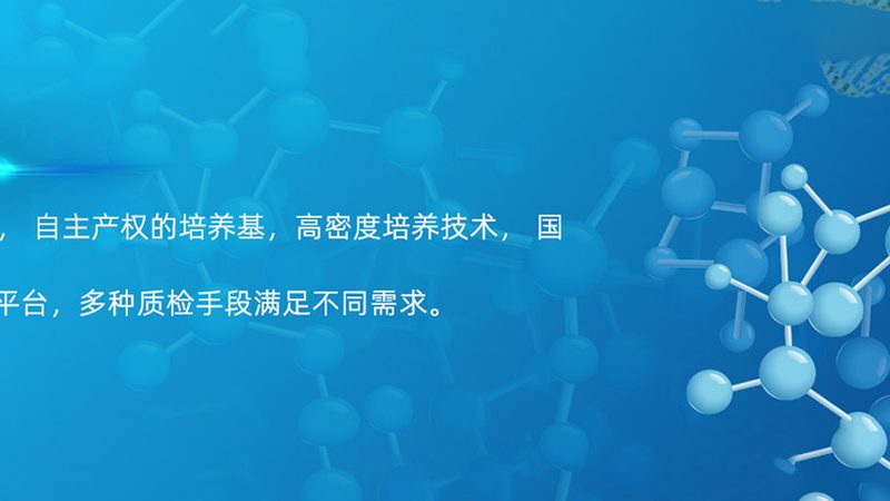 RNA提取试剂步骤详解：从原理到实践
