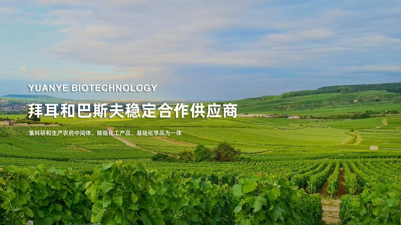 化学实验室耗材材质要求解析：揭秘实验室安全与效率的关键**