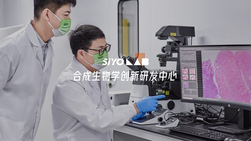 细胞培养耗材：规格参数尺寸，如何精准选型？**