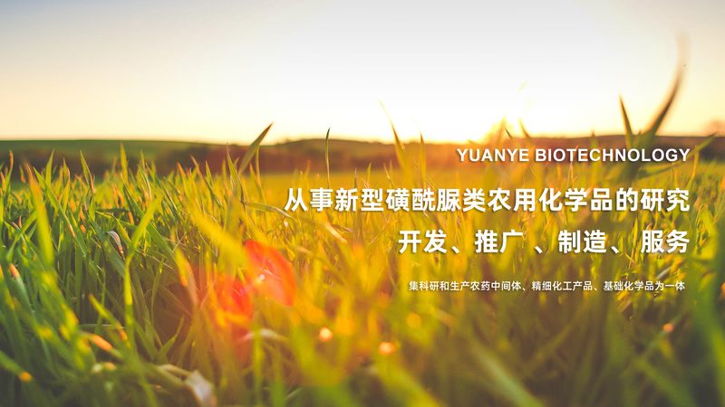 引物修饰：精准选择，助力PCR实验高效进行