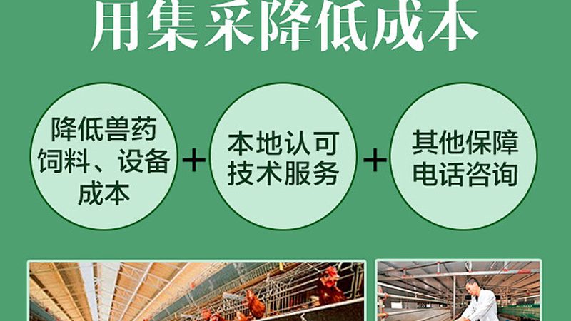 CDMO商业模式定制服务：医药研发的加速器