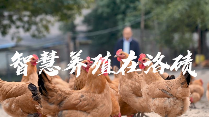生物实验室耗材采购：如何确保品质与合规**
