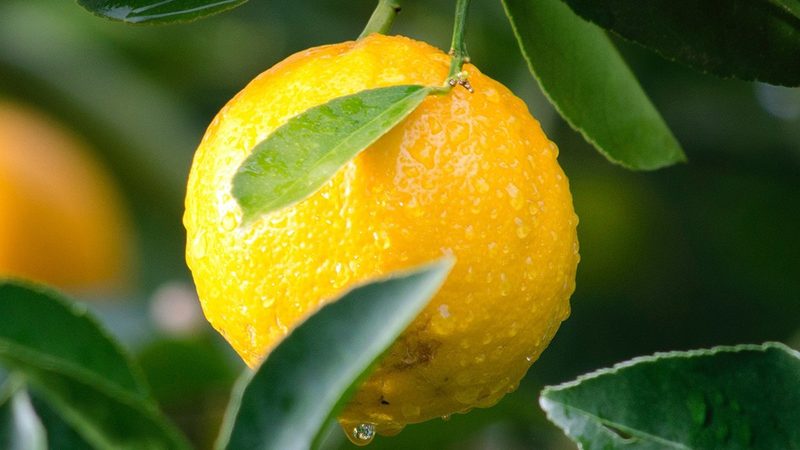 小型生物科技实验设备：规格解析与选购要点