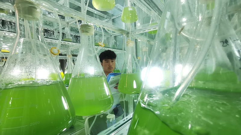 基因检测定制服务：精准医疗的未来钥匙